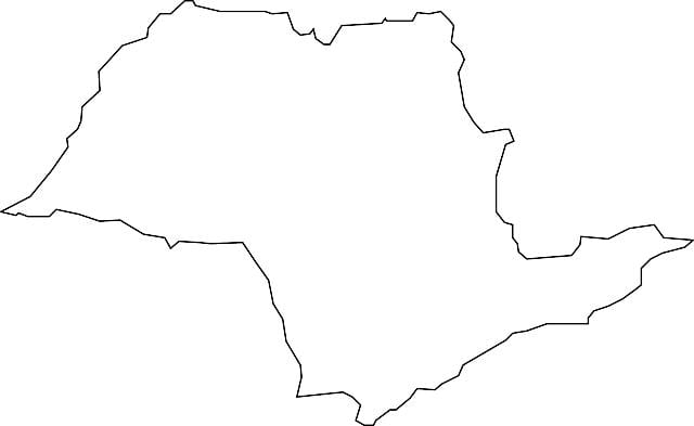 Mapa de São Paulo vector